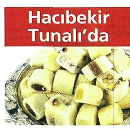 14.06.2008-Milliyet Ankara