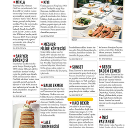 11.2016-Istanbul Life Kasım Sayısı