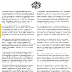 02.2018-Skylife Business Şubat Sayısı