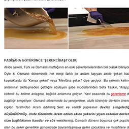 23.10.2024-Milliyet Pembenar